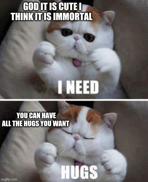 cat hug | GOD IT IS CUTE I THINK IT IS IMMORTAL; YOU CAN HAVE ALL THE HUGS YOU WANT | image tagged in cat,cute,hug,cute cat | made w/ Imgflip meme maker