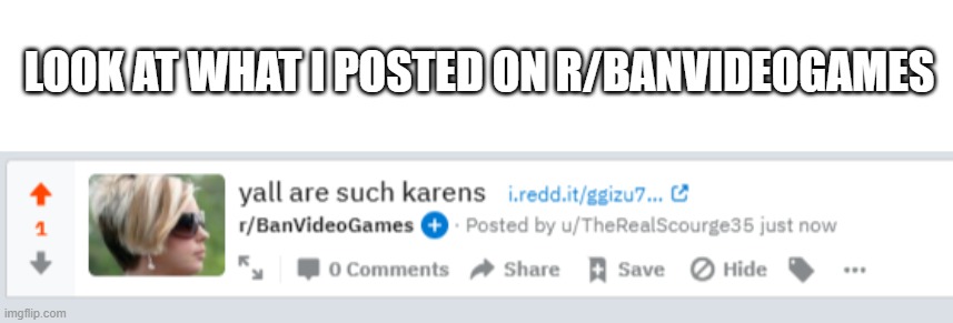 i actually got an upvote from the karens on there | LOOK AT WHAT I POSTED ON R/BANVIDEOGAMES | image tagged in screenshot | made w/ Imgflip meme maker