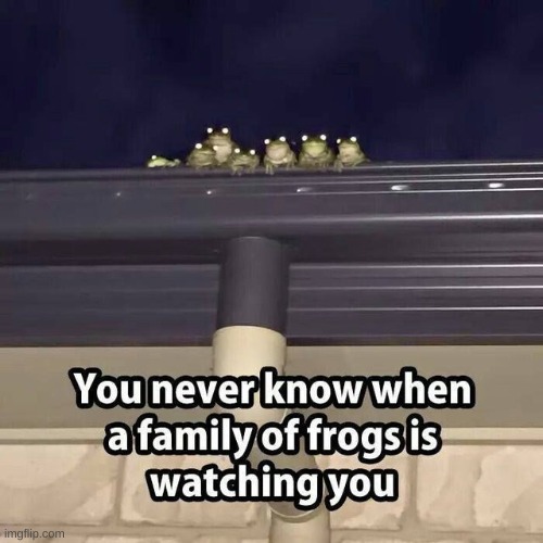 oh shit | image tagged in memes,funny,frogs,uh oh | made w/ Imgflip meme maker