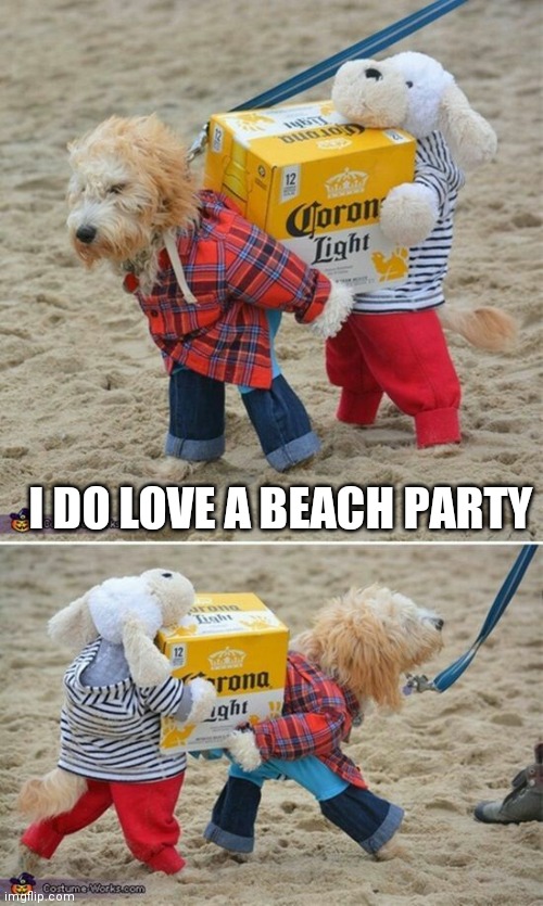 I DO LOVE A BEACH PARTY | image tagged in dogs | made w/ Imgflip meme maker