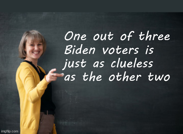 one of three Biden voters | One out of three 
Biden voters is
just as clueless
as the other two | image tagged in politics | made w/ Imgflip meme maker