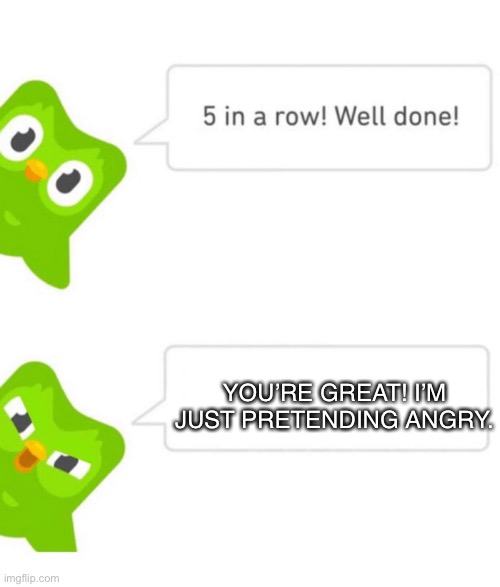 Duolingo 5 in a row | YOU’RE GREAT! I’M JUST PRETENDING ANGRY. | image tagged in duolingo 5 in a row | made w/ Imgflip meme maker
