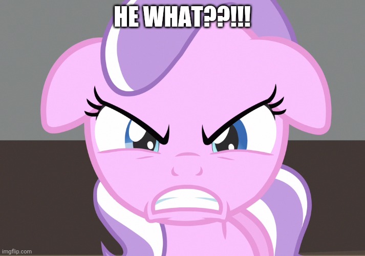 HE WHAT??!!! | made w/ Imgflip meme maker