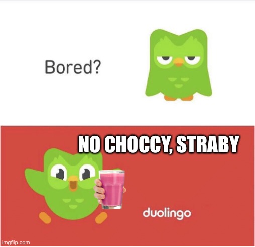 Straby live on | NO CHOCCY, STRABY | image tagged in duolingo bored | made w/ Imgflip meme maker