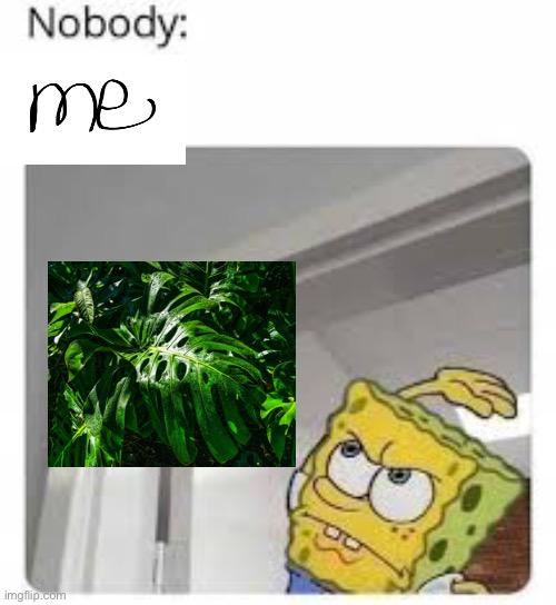Smacking the leaves | image tagged in plants | made w/ Imgflip meme maker