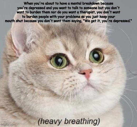 Heavy Breathing Cat | When you're about to have a mental breakdown because you're depressed and you want to talk to someone but you don't want to burden them nor do you want a therapist, you don't want to burden people with your problems so you just keep your mouth shut because you don't want them saying, "We get it, you're depressed." | image tagged in memes,heavy breathing cat | made w/ Imgflip meme maker