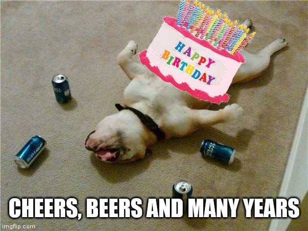 Honey, The Dog is Drunk Again |  CHEERS, BEERS AND MANY YEARS | image tagged in drunk dog,happy birthday,dogs,beer,funny,drunk | made w/ Imgflip meme maker