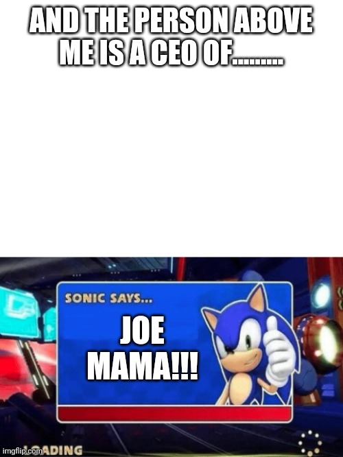 AND THE PERSON ABOVE ME IS A CEO OF......... JOE MAMA!!! | image tagged in blank white template,sonic says | made w/ Imgflip meme maker