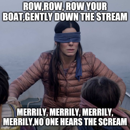 Bird Box | ROW,ROW, ROW YOUR BOAT,GENTLY DOWN THE STREAM; MERRILY, MERRILY, MERRILY, MERRILY,NO ONE HEARS THE SCREAM | image tagged in memes,bird box | made w/ Imgflip meme maker