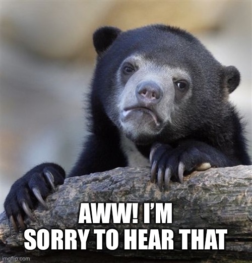 Confession Bear Meme | AWW! I’M SORRY TO HEAR THAT | image tagged in memes,confession bear | made w/ Imgflip meme maker