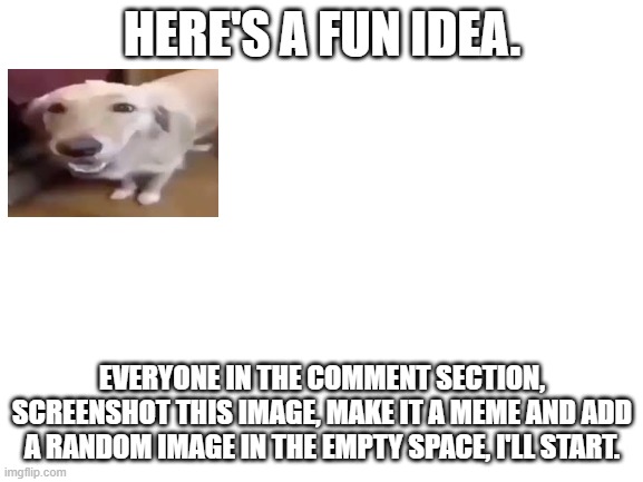 How many comments can we get until it's full? | HERE'S A FUN IDEA. EVERYONE IN THE COMMENT SECTION, SCREENSHOT THIS IMAGE, MAKE IT A MEME AND ADD A RANDOM IMAGE IN THE EMPTY SPACE, I'LL START. | image tagged in blank white template | made w/ Imgflip meme maker