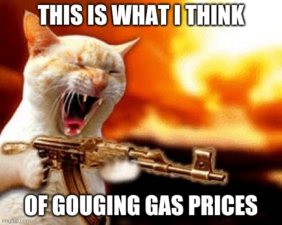 machine gun cat | THIS IS WHAT I THINK; OF GOUGING GAS PRICES | image tagged in machine gun cat | made w/ Imgflip meme maker
