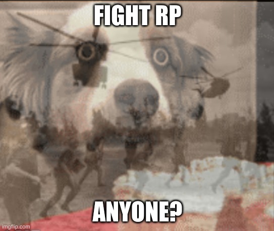 (yes im that bored sry to bother yall) | FIGHT RP; ANYONE? | image tagged in ptsd muffin dog | made w/ Imgflip meme maker