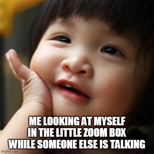Zoom | ME LOOKING AT MYSELF IN THE LITTLE ZOOM BOX WHILE SOMEONE ELSE IS TALKING | image tagged in day dreaming baby | made w/ Imgflip meme maker
