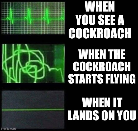 scared scared scared scared scared | WHEN YOU SEE A COCKROACH; WHEN THE COCKROACH STARTS FLYING; WHEN IT LANDS ON YOU | image tagged in heartbeat empty template,funny,memes,funny memes,cockroach,barney will eat all of your delectable biscuits | made w/ Imgflip meme maker