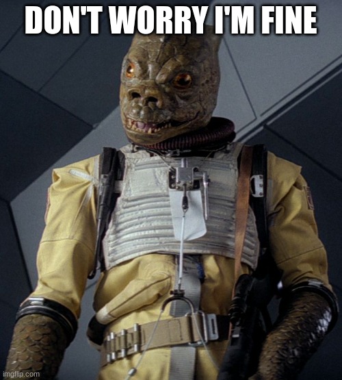 Like a Bossk | DON'T WORRY I'M FINE | image tagged in like a bossk | made w/ Imgflip meme maker