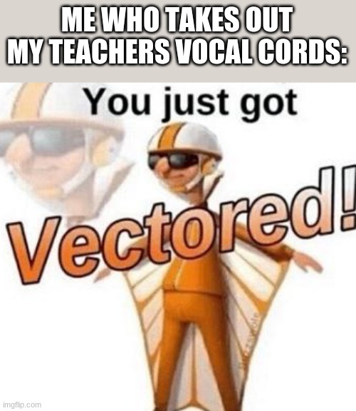 You just got vectored | ME WHO TAKES OUT MY TEACHERS VOCAL CORDS: | image tagged in you just got vectored | made w/ Imgflip meme maker