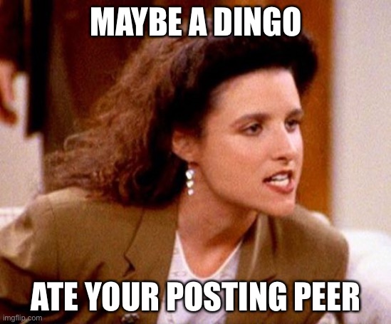 Ever wonder where some imgflippers went? | MAYBE A DINGO; ATE YOUR POSTING PEER | image tagged in maybe dingos ate your baby,imgflip,memes | made w/ Imgflip meme maker