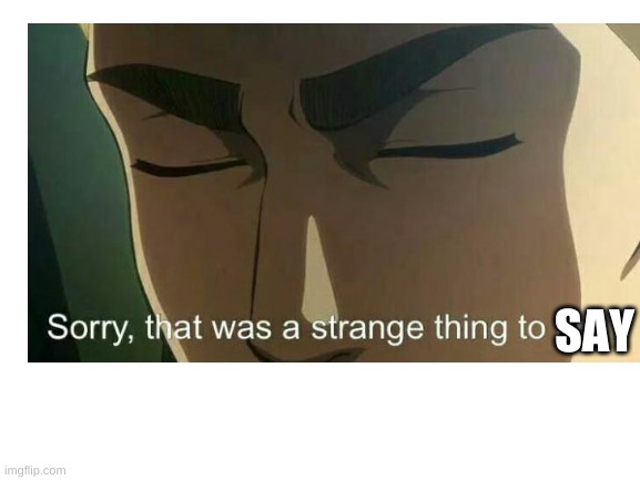 SAY | made w/ Imgflip meme maker