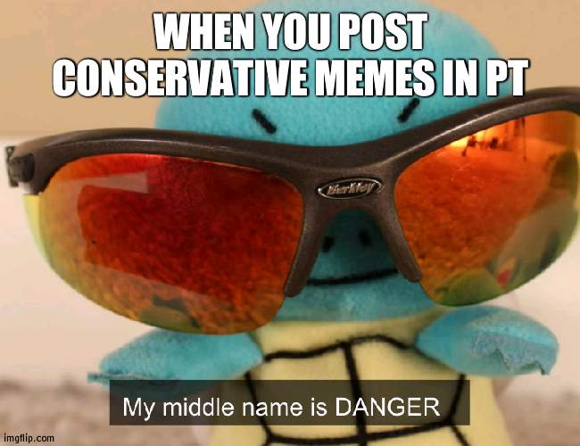 Playing with fire | WHEN YOU POST CONSERVATIVE MEMES IN PT | image tagged in my middle name is danger,fire | made w/ Imgflip meme maker