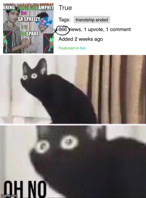 OH NU | image tagged in oh no cat | made w/ Imgflip meme maker