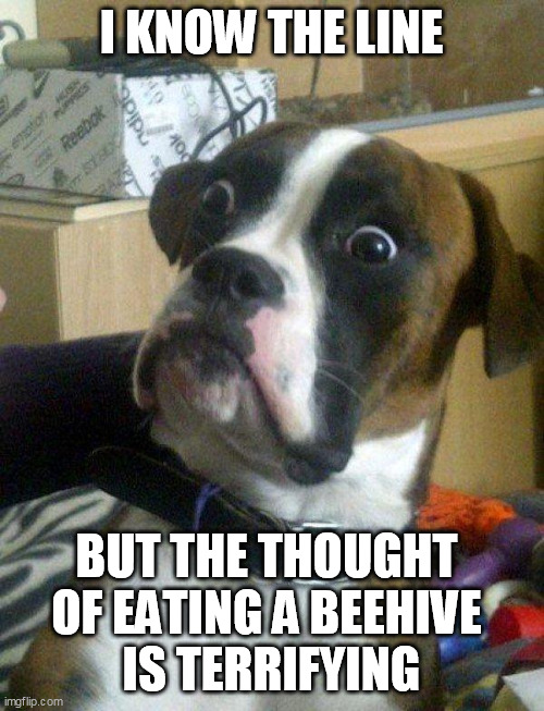 Blankie the Shocked Dog | I KNOW THE LINE BUT THE THOUGHT 
OF EATING A BEEHIVE 
IS TERRIFYING | image tagged in blankie the shocked dog | made w/ Imgflip meme maker