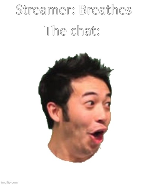 "pog" is honestly an overused internet word | The chat:; Streamer: Breathes | image tagged in poggers | made w/ Imgflip meme maker