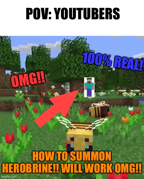 Why would they even do this is the first place? | POV: YOUTUBERS; 100% REAL! OMG!! HOW TO SUMMON HEROBRINE!! WILL WORK OMG!! | image tagged in minecraft bees,youtube,youtubers,clickbait,pov | made w/ Imgflip meme maker