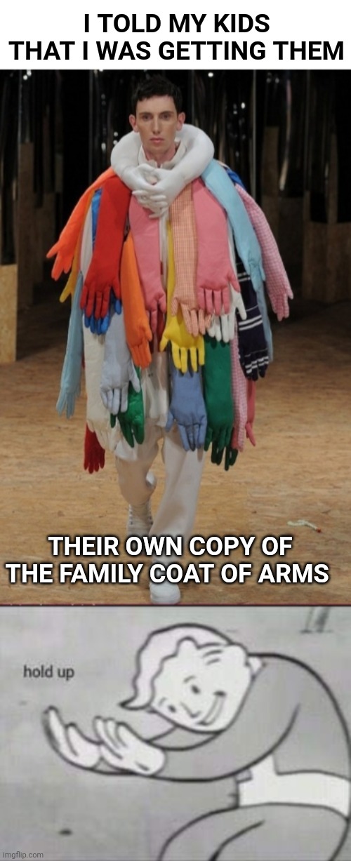 I TOLD MY KIDS THAT I WAS GETTING THEM; THEIR OWN COPY OF THE FAMILY COAT OF ARMS | image tagged in fallout hold up,family,arms | made w/ Imgflip meme maker