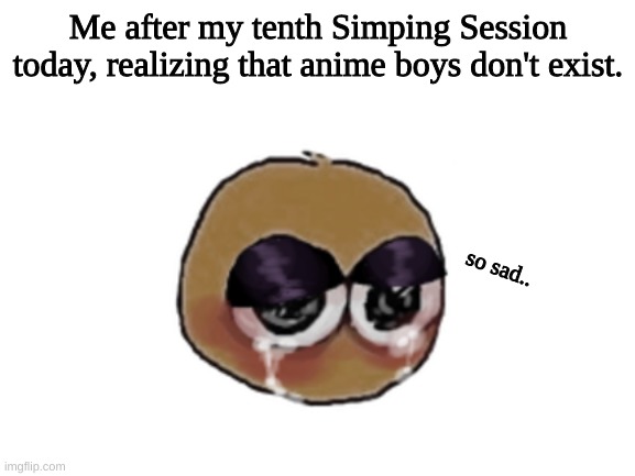 Sad.. umu | Me after my tenth Simping Session today, realizing that anime boys don't exist. so sad.. | image tagged in blank white template | made w/ Imgflip meme maker