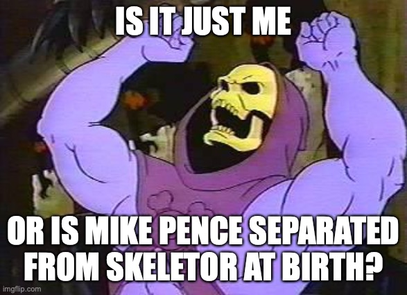 You Fool Skeletor | IS IT JUST ME OR IS MIKE PENCE SEPARATED FROM SKELETOR AT BIRTH? | image tagged in you fool skeletor | made w/ Imgflip meme maker