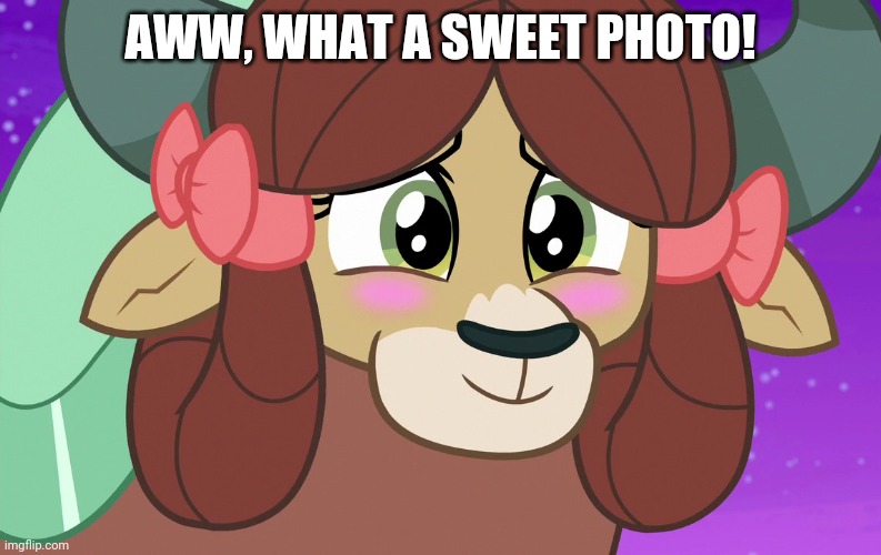 AWW, WHAT A SWEET PHOTO! | made w/ Imgflip meme maker