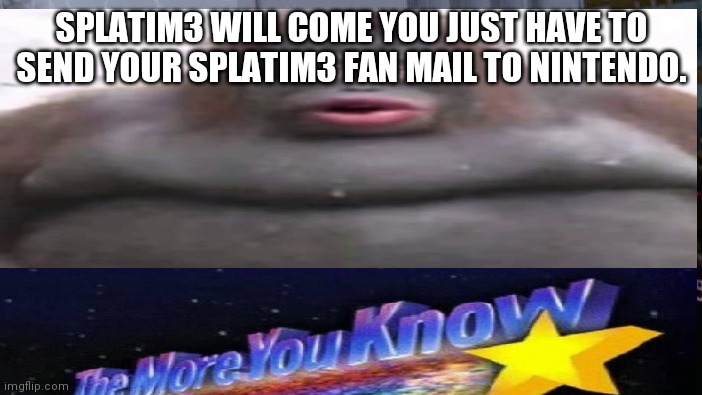 SPLATIM3 WILL COME YOU JUST HAVE TO SEND YOUR SPLATIM3 FAN MAIL TO NINTENDO. | image tagged in funny memes | made w/ Imgflip meme maker