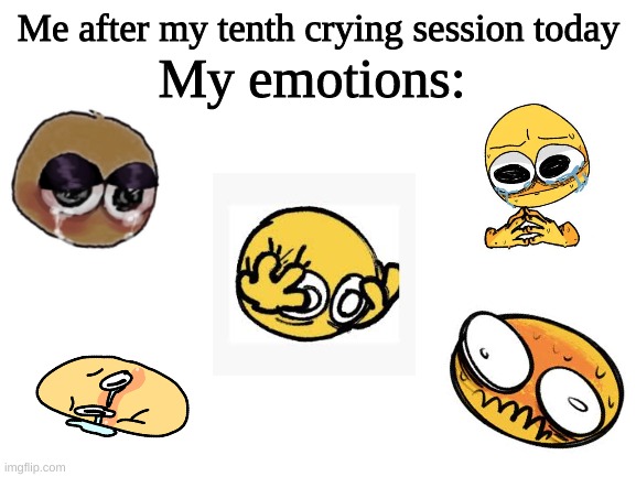 Blank White Template | My emotions:; Me after my tenth crying session today | image tagged in blank white template | made w/ Imgflip meme maker
