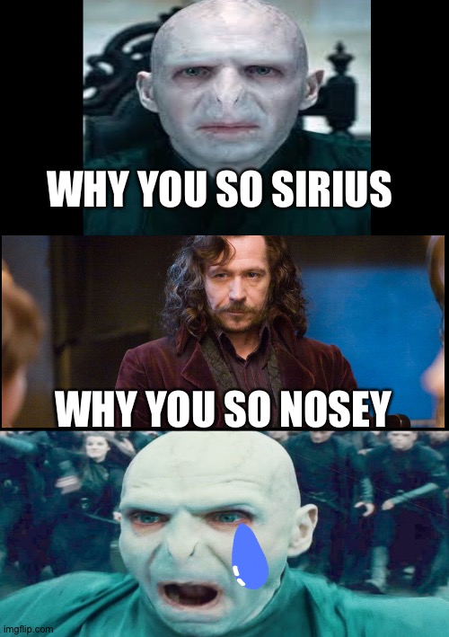 Hehe | WHY YOU SO SIRIUS; WHY YOU SO NOSEY | image tagged in memes,finding neverland | made w/ Imgflip meme maker
