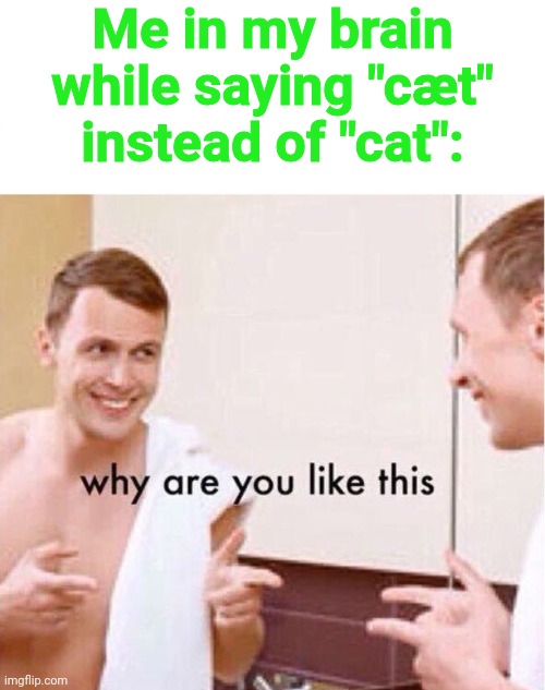 why are you like this | Me in my brain while saying "cæt" instead of "cat": | image tagged in why are you like this | made w/ Imgflip meme maker