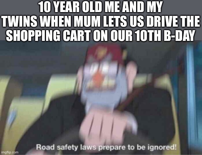 ROAD SAFTLY LAWS BEGONE!! | 10 YEAR OLD ME AND MY TWINS WHEN MUM LETS US DRIVE THE SHOPPING CART ON OUR 10TH B-DAY | image tagged in road safety laws prepare to be ignored,bye felicia | made w/ Imgflip meme maker