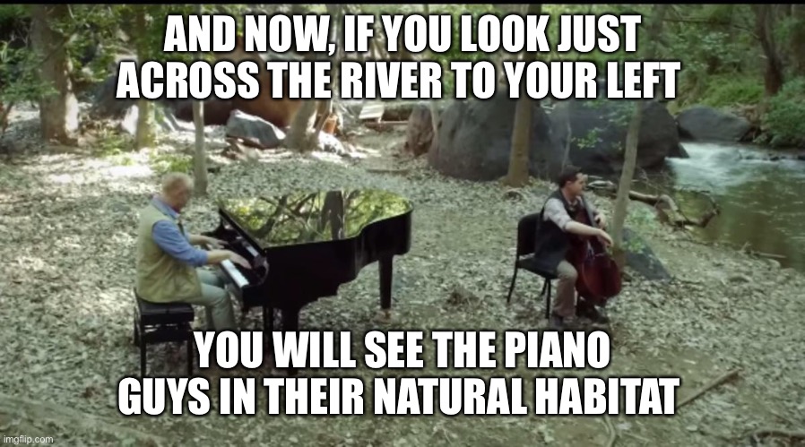 *Jurassic Park intensifies* | AND NOW, IF YOU LOOK JUST ACROSS THE RIVER TO YOUR LEFT; YOU WILL SEE THE PIANO GUYS IN THEIR NATURAL HABITAT | image tagged in jurassic park,jurassic world,piano,dinosaurs,dinosaur | made w/ Imgflip meme maker