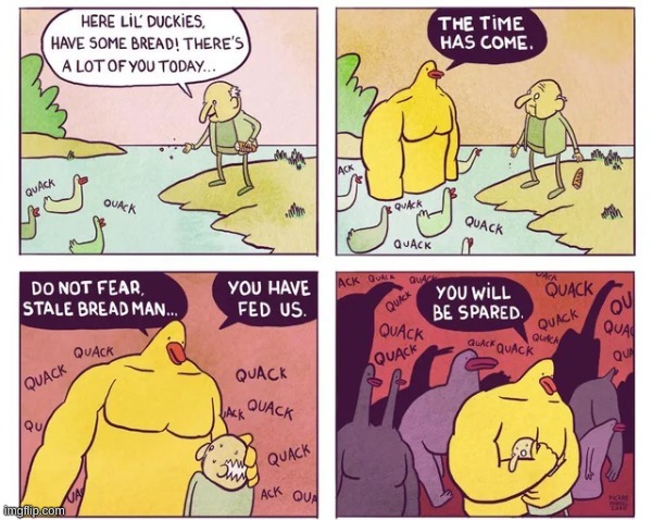 always feed the ducks | image tagged in memes,funny,comics/cartoons,ducks | made w/ Imgflip meme maker