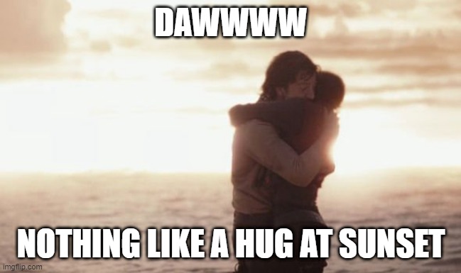 Sunset Love | DAWWWW; NOTHING LIKE A HUG AT SUNSET | image tagged in rogue one | made w/ Imgflip meme maker