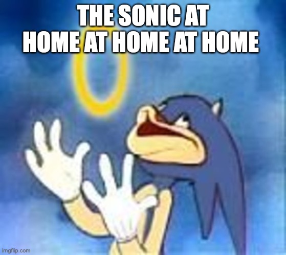 Derp Sonic | THE SONIC AT HOME AT HOME AT HOME | image tagged in derp sonic | made w/ Imgflip meme maker