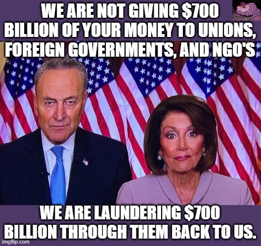 Less than 10% of the 1.9 Trillion "Stimulus Bill" actually goes to the American people. | WE ARE NOT GIVING $700 BILLION OF YOUR MONEY TO UNIONS, FOREIGN GOVERNMENTS, AND NGO'S; WE ARE LAUNDERING $700 BILLION THROUGH THEM BACK TO US. | image tagged in nancy and chuck | made w/ Imgflip meme maker