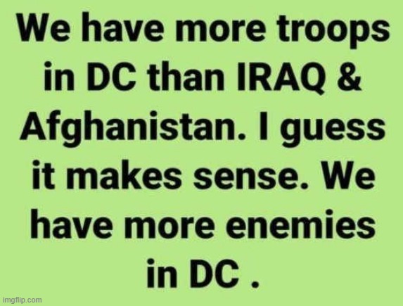 Are Troops are being Used by the D.C. Swamp | image tagged in washington dc,politicians,memes | made w/ Imgflip meme maker