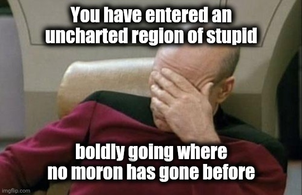 Captain Picard Facepalm Meme | You have entered an uncharted region of stupid boldly going where no moron has gone before | image tagged in memes,captain picard facepalm | made w/ Imgflip meme maker