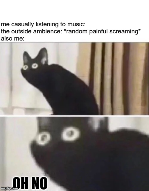 Just heard screaming while I was listening to "see you again" | me casually listening to music:
the outside ambience: *random painful screaming*
also me:; OH NO | image tagged in oh no black cat | made w/ Imgflip meme maker