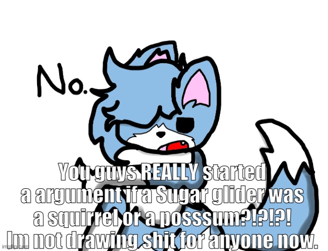 Yall should be ashammed. | You guys REALLY started a argument if a Sugar glider was a squirrel or a posssum?!?!?! Im not drawing shit for anyone now. | image tagged in cloud no | made w/ Imgflip meme maker