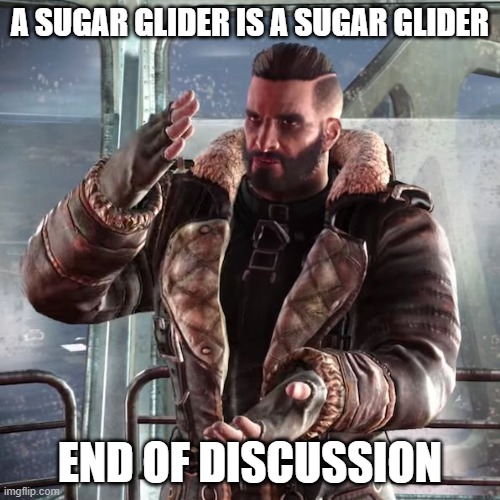 And sugar is sugar | A SUGAR GLIDER IS A SUGAR GLIDER; END OF DISCUSSION | image tagged in fallout4 maxon discussing | made w/ Imgflip meme maker