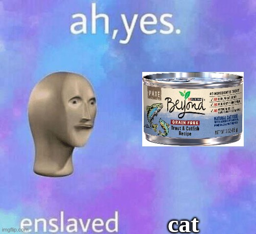 ahhhhh feels good man | cat | image tagged in funny,cat fish in a can,memes | made w/ Imgflip meme maker