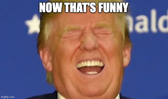 Trump laughing | NOW THAT'S FUNNY | image tagged in trump laughing | made w/ Imgflip meme maker
