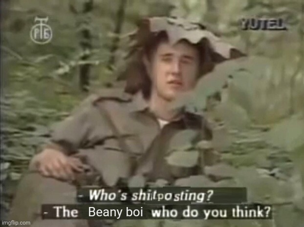 Who's shitposting? The X, who do you think? | Beany boi | image tagged in who's shitposting the x who do you think | made w/ Imgflip meme maker